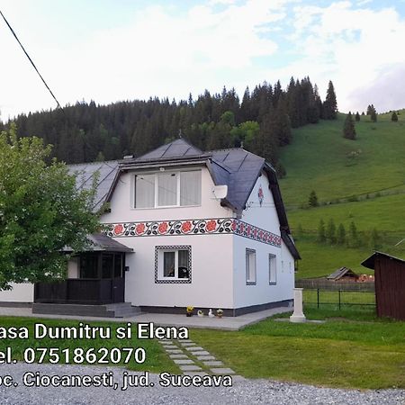 Casa Dumitru Si Elena Ciocanesti Bucovina חדר תמונה