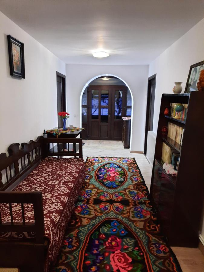 Casa Dumitru Si Elena Ciocanesti Bucovina מראה חיצוני תמונה