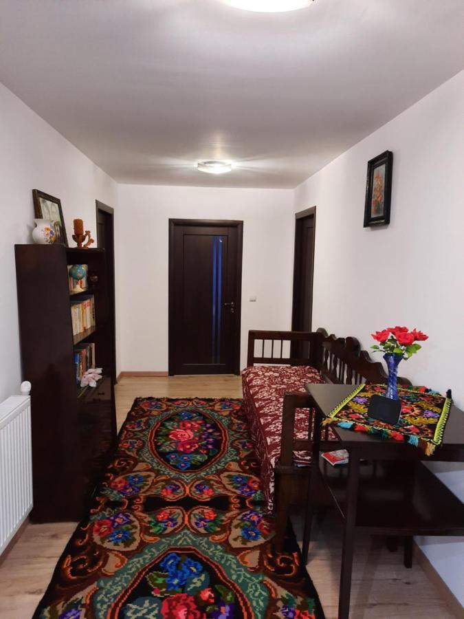 Casa Dumitru Si Elena Ciocanesti Bucovina מראה חיצוני תמונה