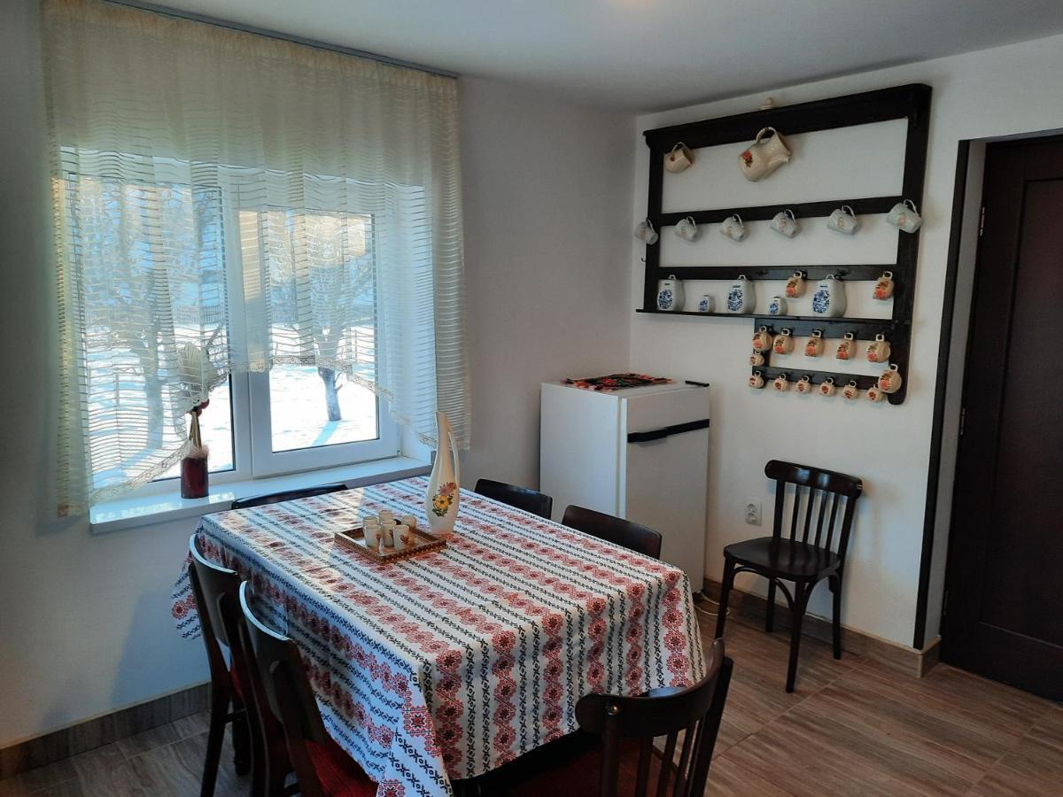 Casa Dumitru Si Elena Ciocanesti Bucovina מראה חיצוני תמונה