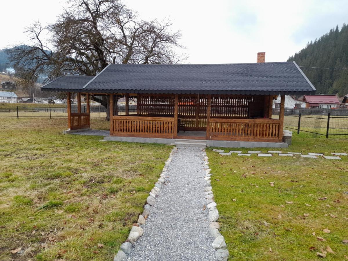Casa Dumitru Si Elena Ciocanesti Bucovina מראה חיצוני תמונה
