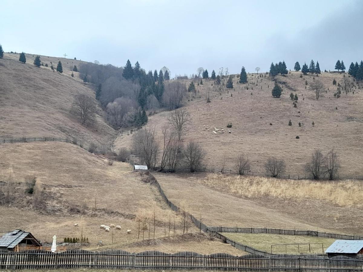 Casa Dumitru Si Elena Ciocanesti Bucovina מראה חיצוני תמונה