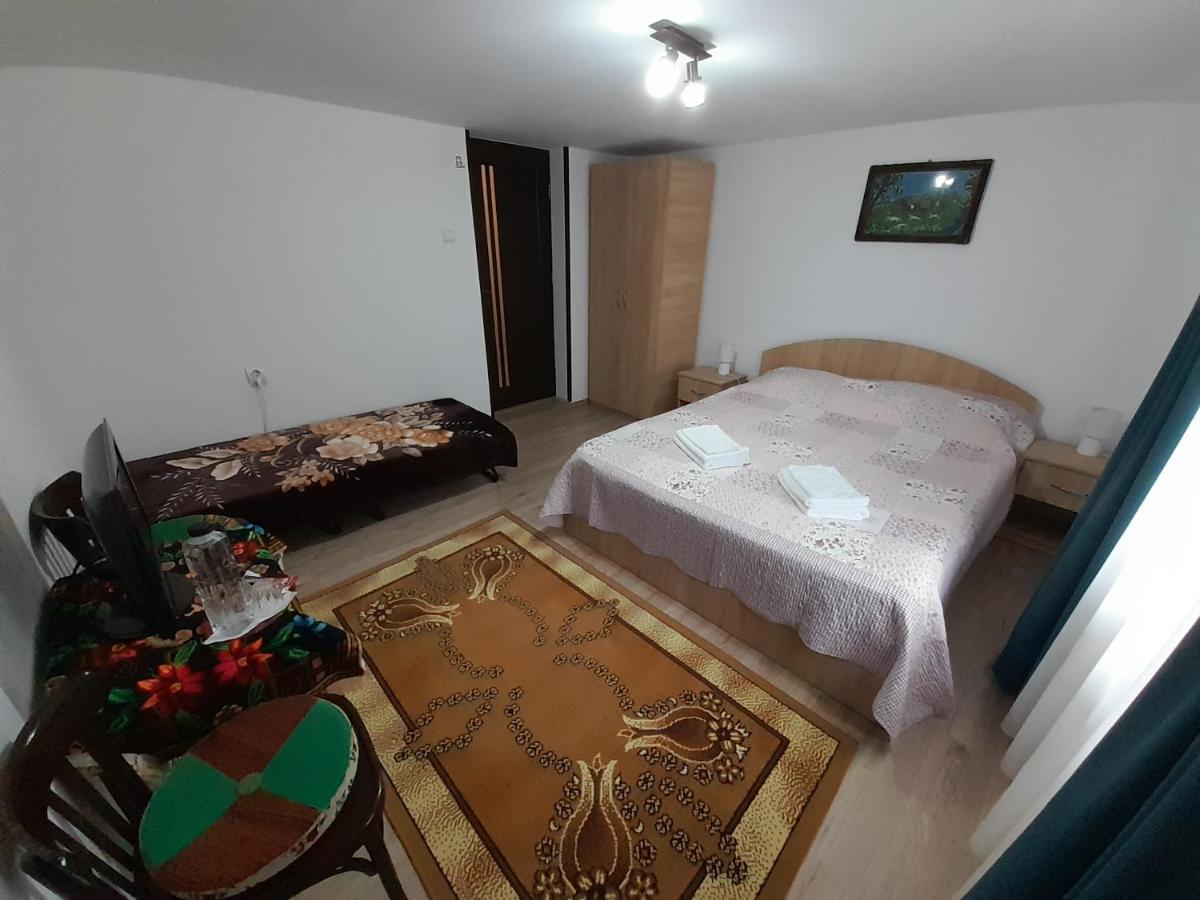 Casa Dumitru Si Elena Ciocanesti Bucovina מראה חיצוני תמונה