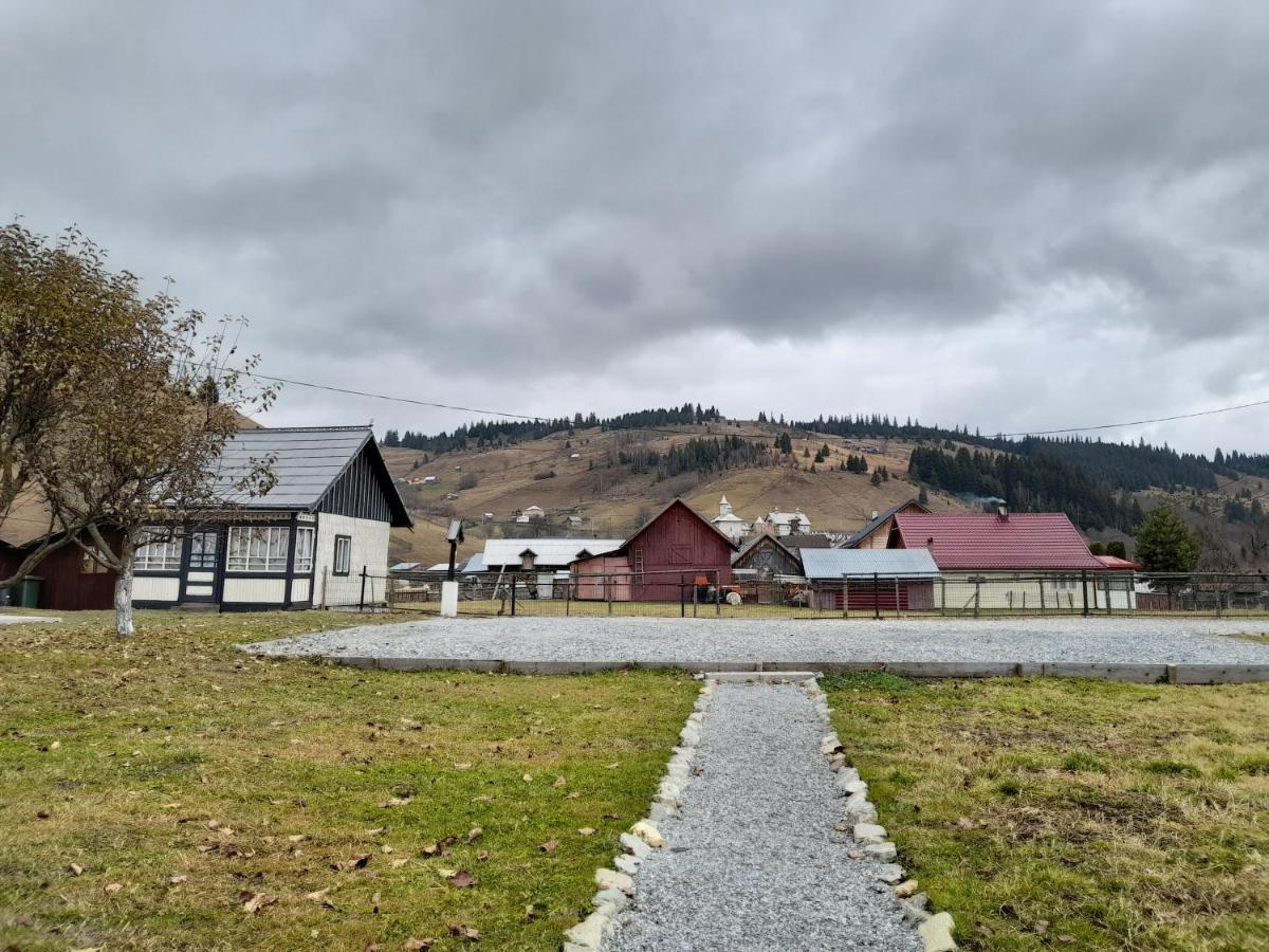 Casa Dumitru Si Elena Ciocanesti Bucovina מראה חיצוני תמונה