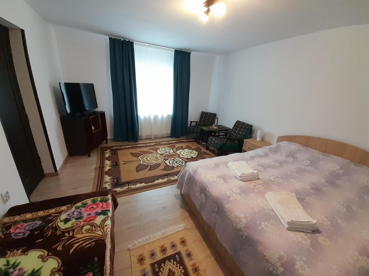 Casa Dumitru Si Elena Ciocanesti Bucovina מראה חיצוני תמונה