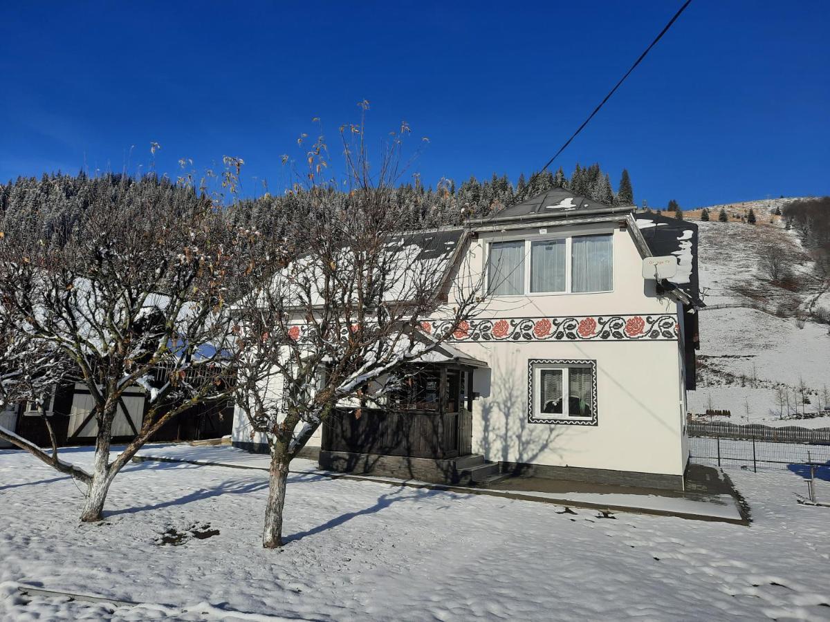 Casa Dumitru Si Elena Ciocanesti Bucovina מראה חיצוני תמונה