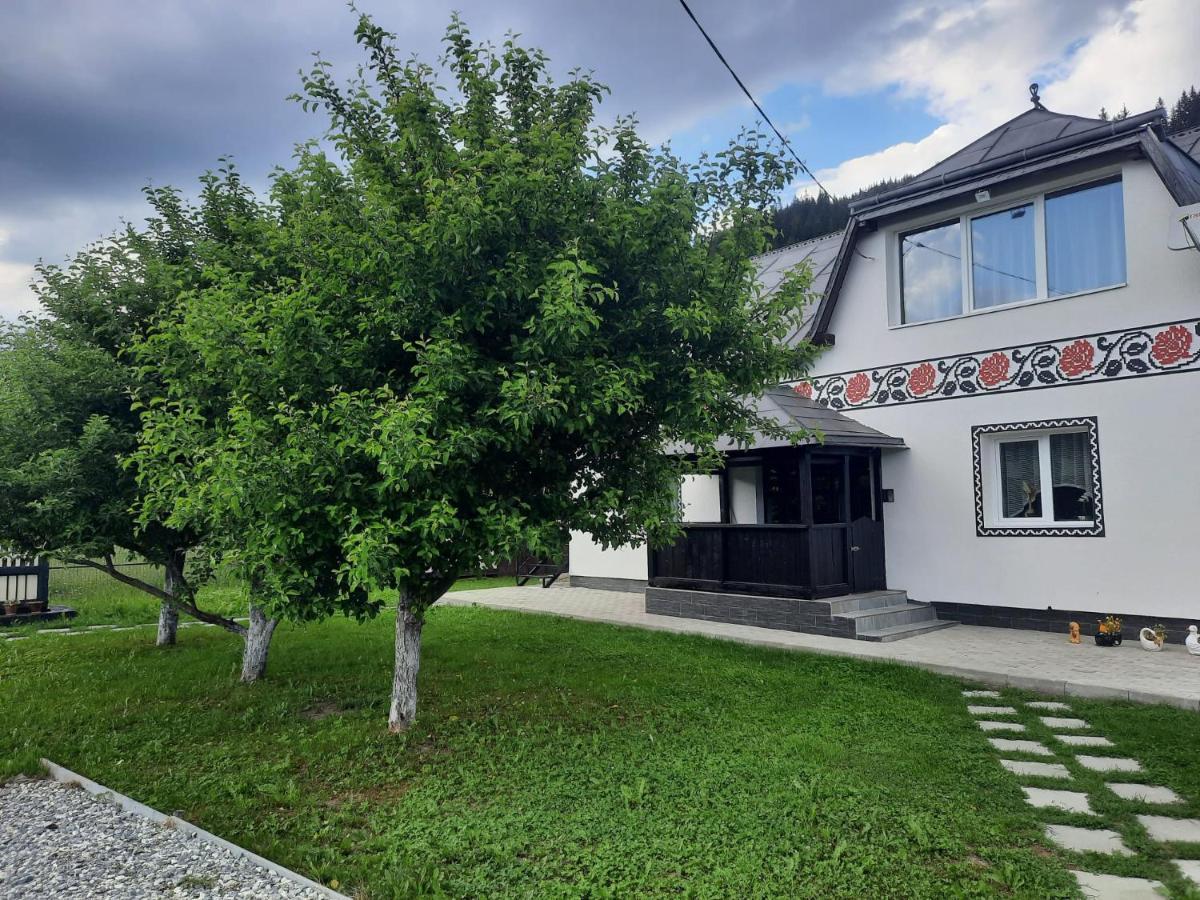Casa Dumitru Si Elena Ciocanesti Bucovina מראה חיצוני תמונה