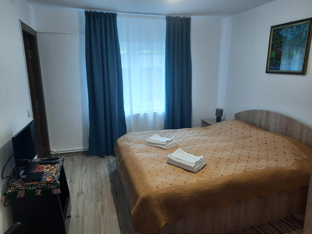 Casa Dumitru Si Elena Ciocanesti Bucovina מראה חיצוני תמונה