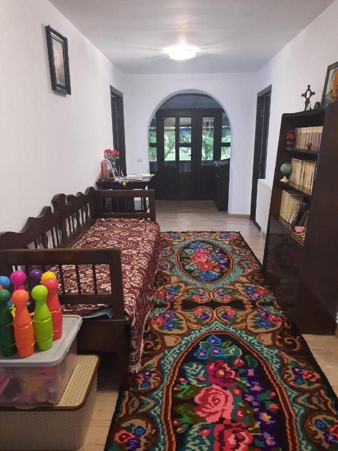 Casa Dumitru Si Elena Ciocanesti Bucovina מראה חיצוני תמונה