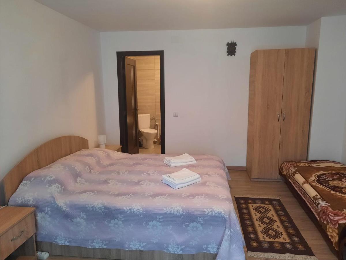 Casa Dumitru Si Elena Ciocanesti Bucovina מראה חיצוני תמונה