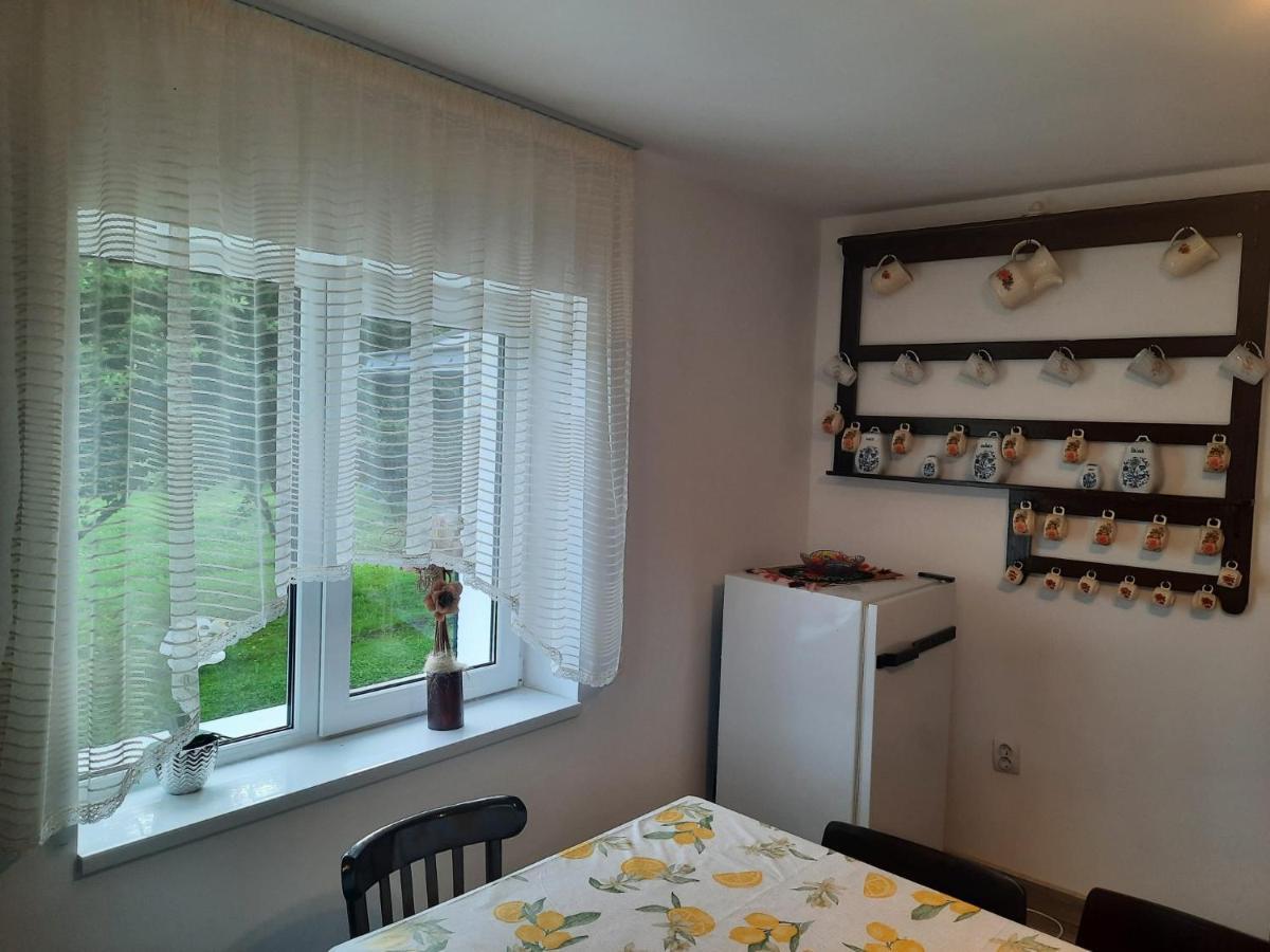 Casa Dumitru Si Elena Ciocanesti Bucovina מראה חיצוני תמונה