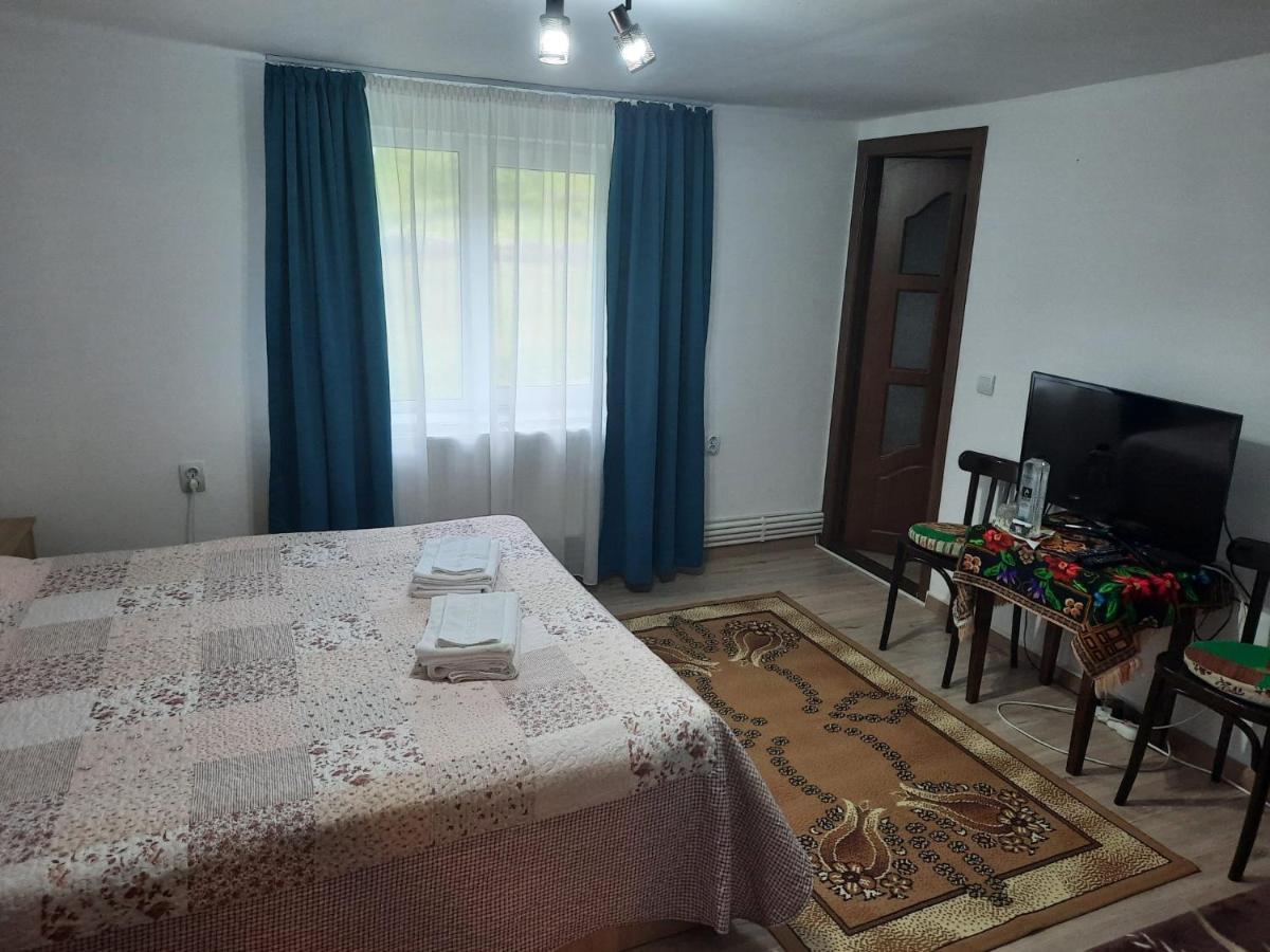 Casa Dumitru Si Elena Ciocanesti Bucovina מראה חיצוני תמונה