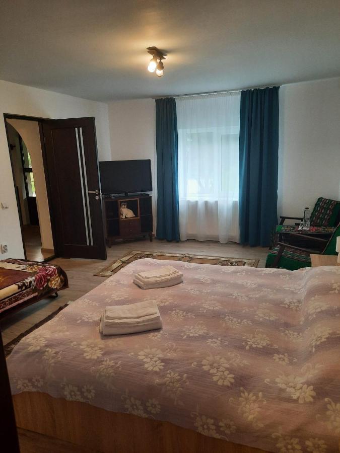 Casa Dumitru Si Elena Ciocanesti Bucovina מראה חיצוני תמונה