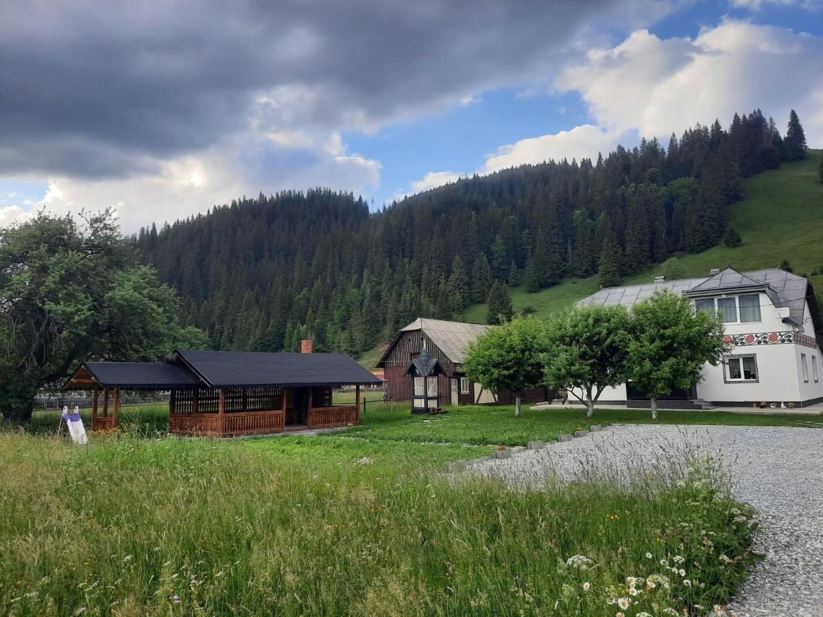 Casa Dumitru Si Elena Ciocanesti Bucovina מראה חיצוני תמונה