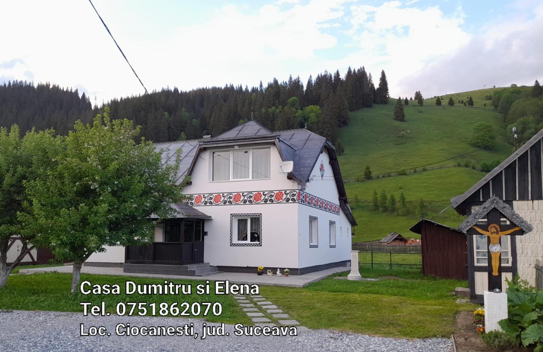 Casa Dumitru Si Elena Ciocanesti Bucovina חדר תמונה